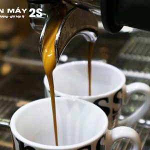 dong-chay-on-dinh-may-pha-cafe-wega-pegaso-02-group