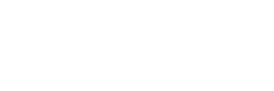 logo-dm2s-4